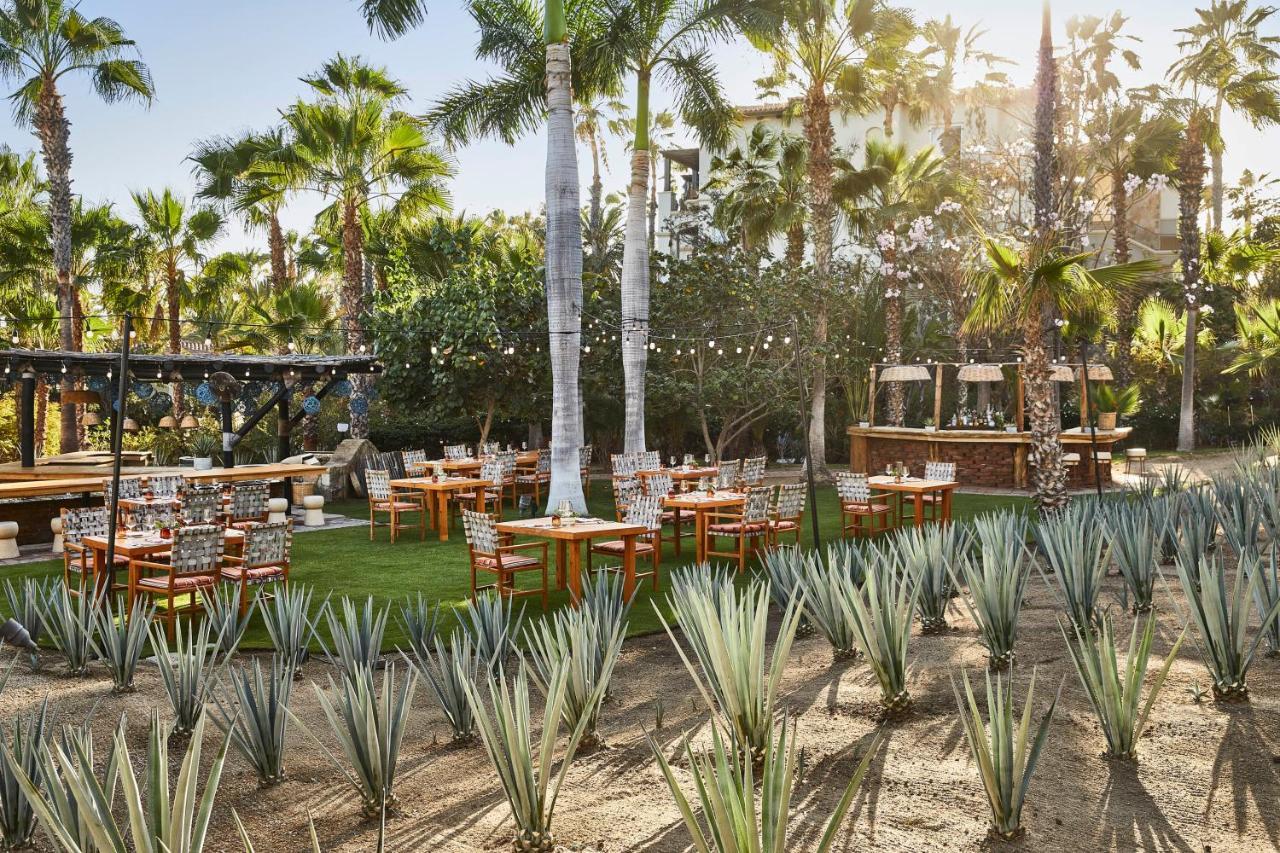 Esperanza, Auberge Resorts Collection Κάβο σαν Λούκας Εξωτερικό φωτογραφία